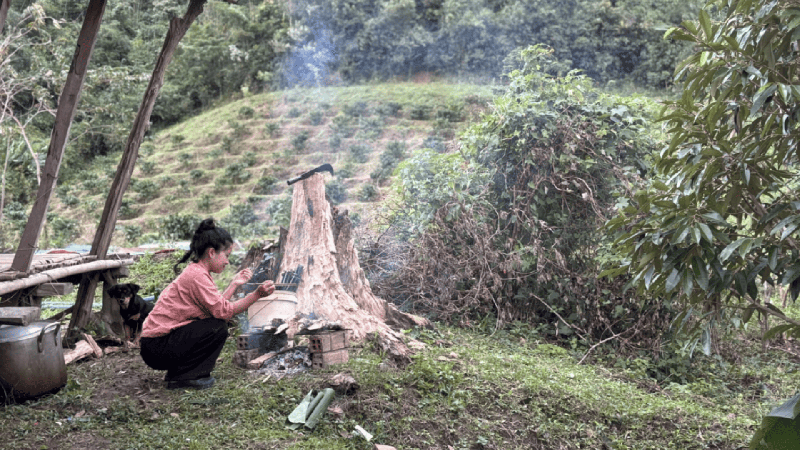 Trekking Chu Yang Sin National Park in a day (3)